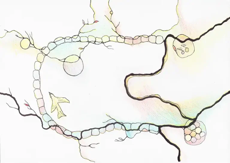 Neuroart Tor